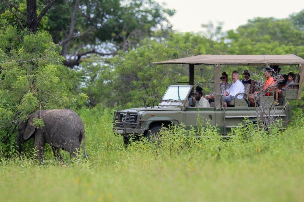 Scenic view · Nyerere National Park