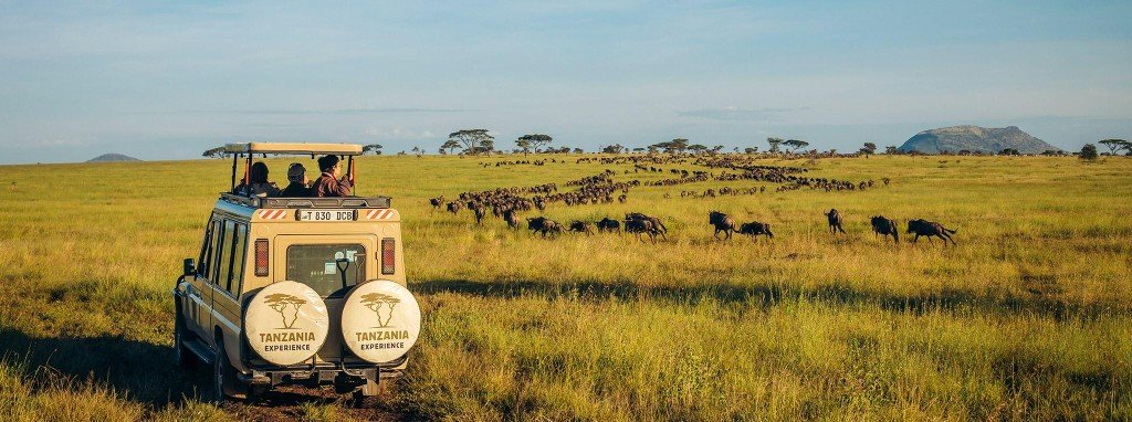 Scenic view · Serengeti National Park