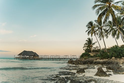 Thatched over-water pavilion on a wooden pier, palms and turquoise sea